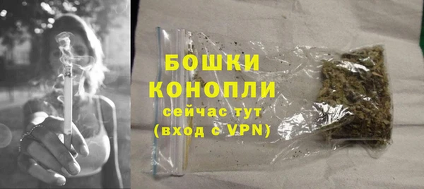 винт Няндома