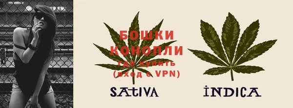 винт Няндома