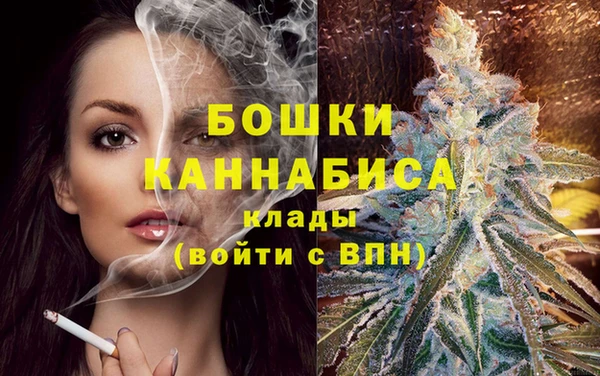 винт Няндома
