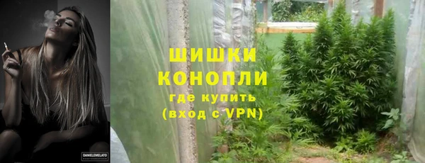 винт Няндома
