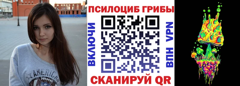 Псилоцибиновые грибы Psilocybe  Окуловка 